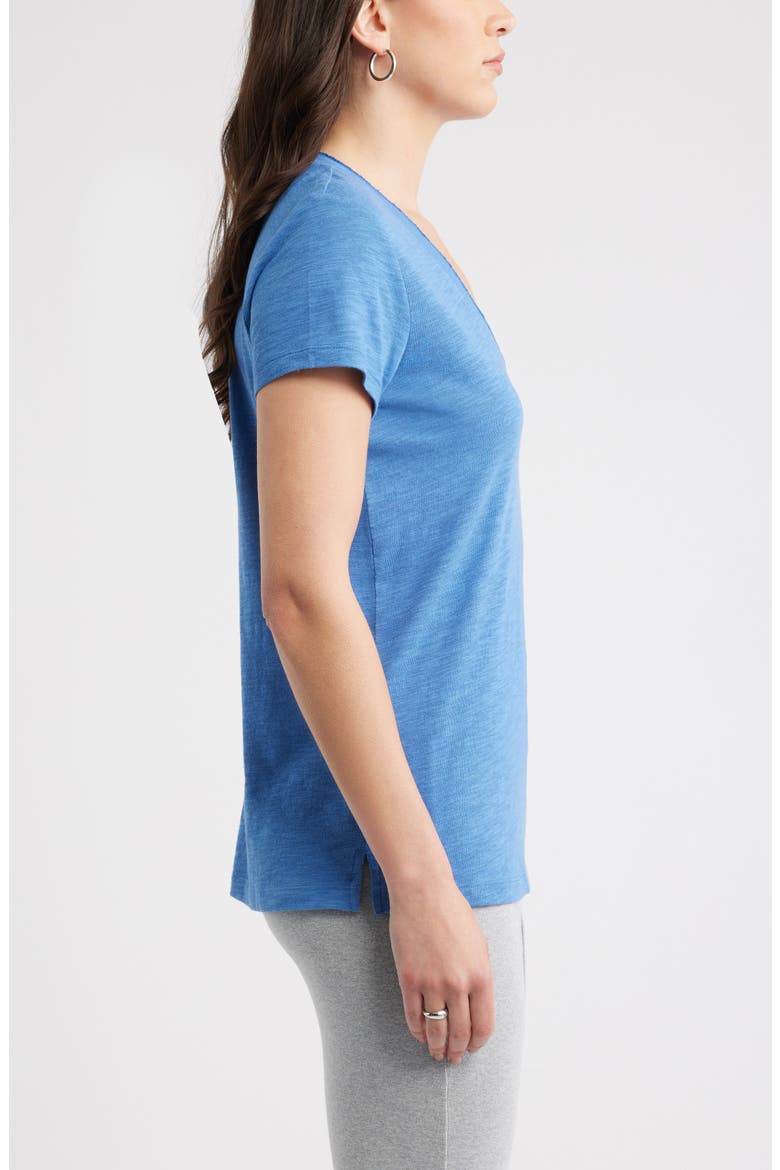 Cotton & Modal V-Neck T-Shirt, Alternate, color, BLUE GLORY