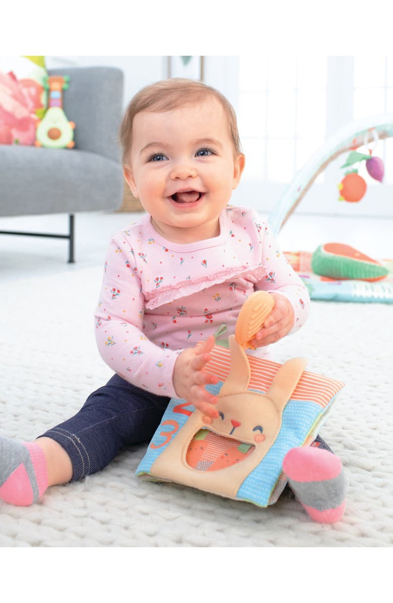 Skip Hop Farmstand Soft Activity Book, Alternate, color, Multi