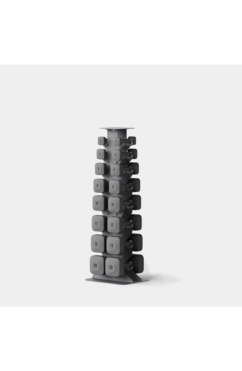 WeGym ProGrip Dumbbells Lower Set with Dark Rack, Main, color, Slate