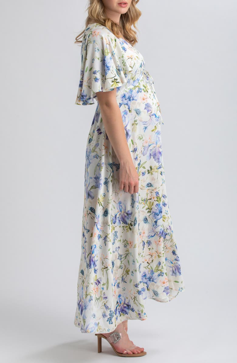 PIETRO BRUNELLI MATERNITY Valentina Floral Maternity Maxi Dress, Alternate, color, 