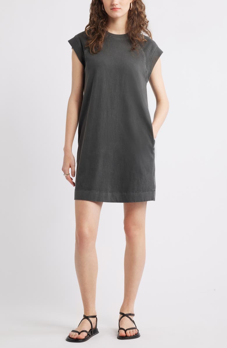 Treasure & Bond Raglan Sleeve Cotton Minidress, Main, color,