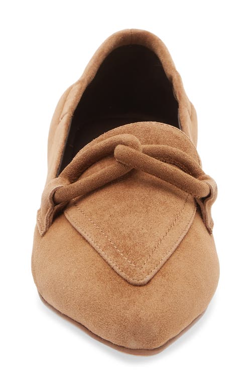 Cordani Miriam Pointed Toe Loafer In Brown