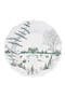 selected Evergreen