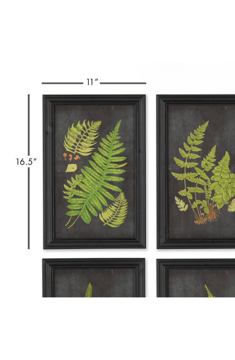 Napa Home & Garden Framed Fern Botanical Prints Set of 9, Alternate, color, Black