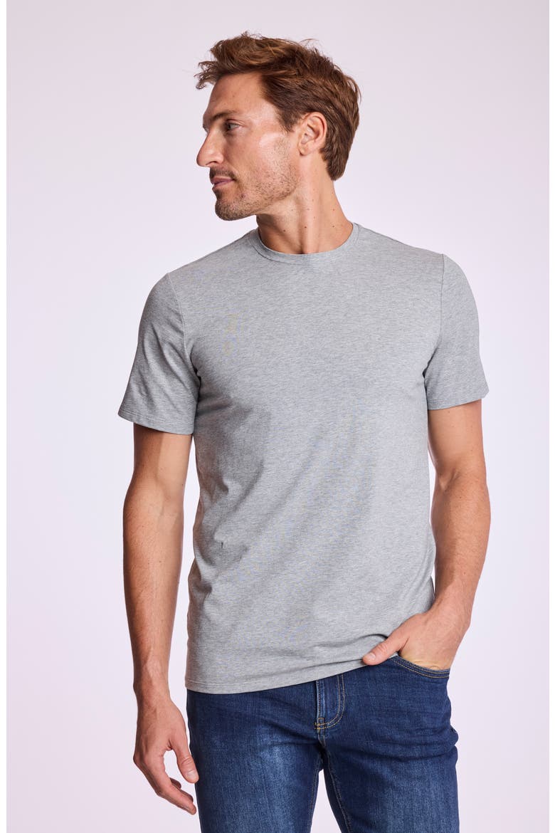 Lucas Crewneck T-Shirt, Alternate, color, LIGHT GREY