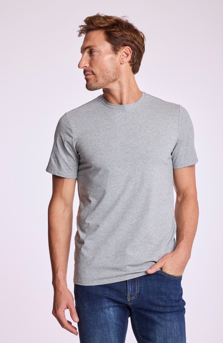 PAISLEY & GRAY Lucas Crewneck T-Shirt, Alternate, color, Light Grey