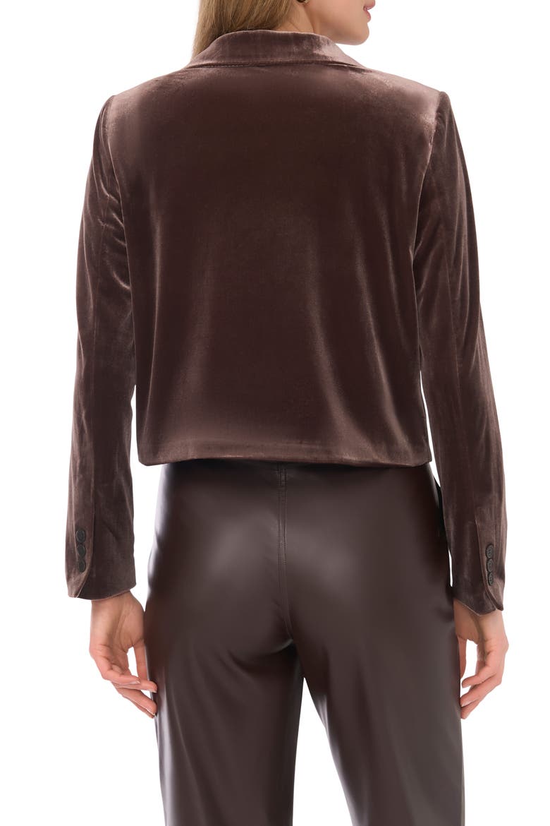 Velvet Crop Blazer, Alternate, color, CHOCOLATE