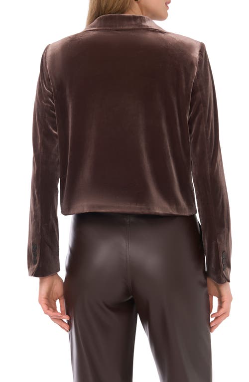 Halogen ® Velvet Crop Blazer In Brown
