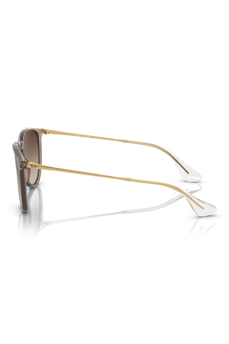 Erika 54mm Gradient Round Sunglasses, Alternate, color, TRANSPARENT LIGHT BROWN