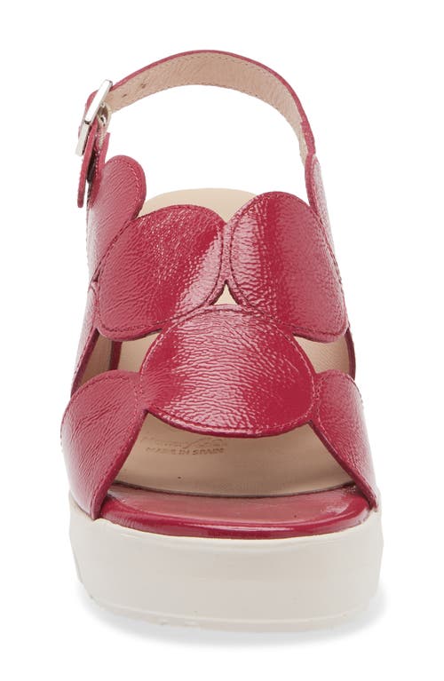Wonders Platform Sandal In Lack Berry