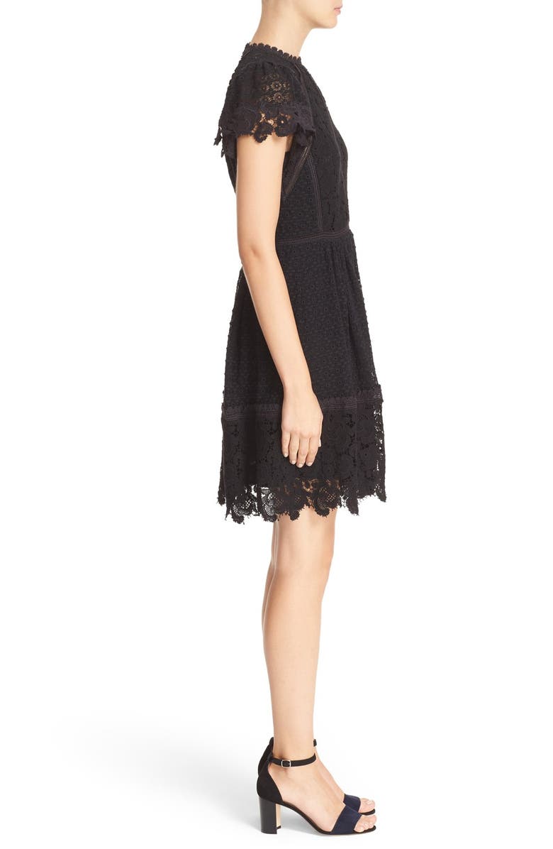 Rebecca Taylor Mix Lace A-Line Dress, Alternate, color,