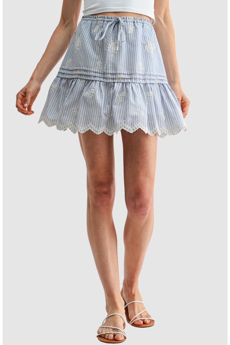 Embroidered Pintuck Cotton Skirt, Main, color, BLUE STRIPE