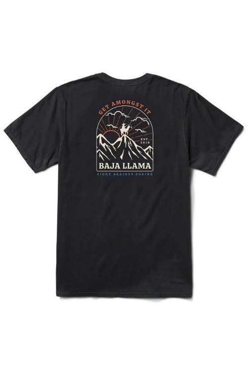 Baja Llama Men's Never High Enough - Black Primo Graphic Tee In Black