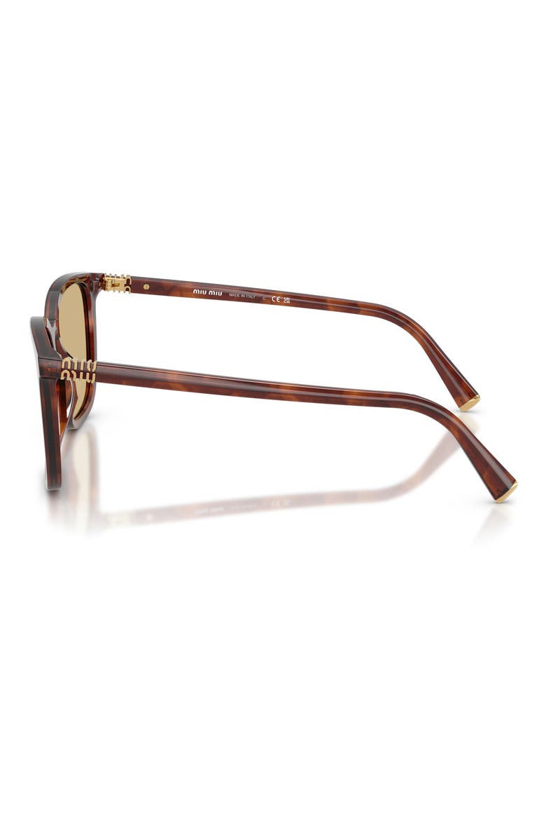 53mm Square Sunglasses, Alternate, color, STRIPED TOBACCO / YELLOW