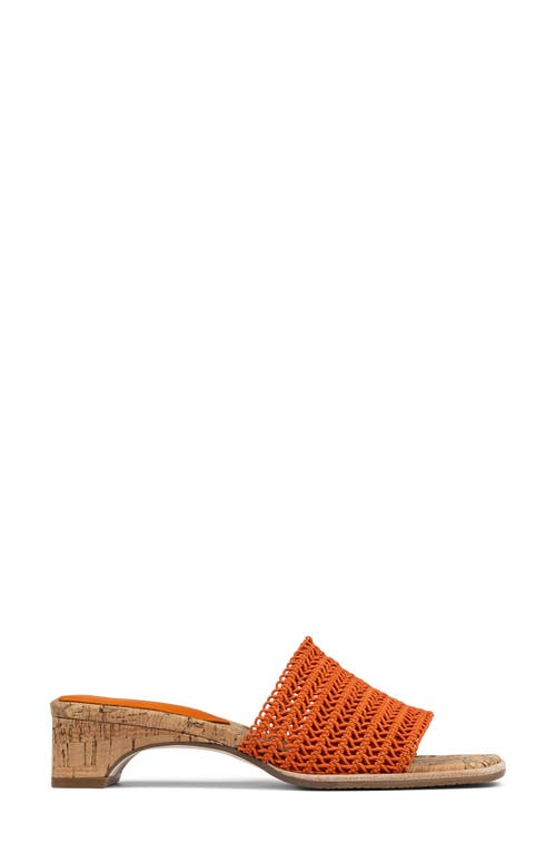 DONALD PLINER DONALD PLINER CLODIE SLIDE SANDAL