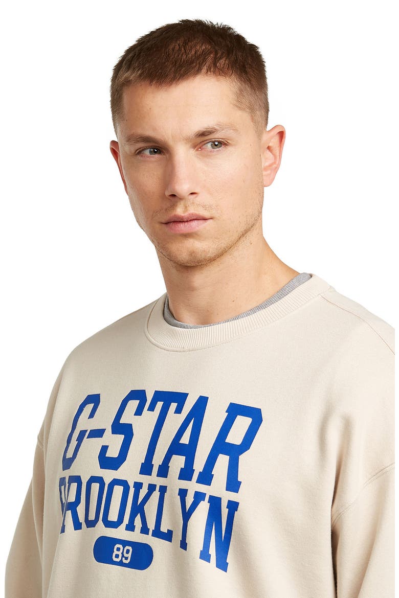 Colletiate Relaxed Fit Organic Cotton French Terry Crewneck Sweatshirt, Alternate, color, WHITEBAIT