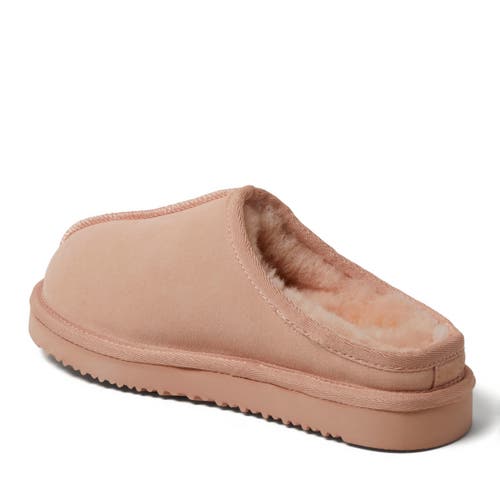 Dearfoams Fireside Greta Genuine Shearling Clog Slipper In Peach Dust