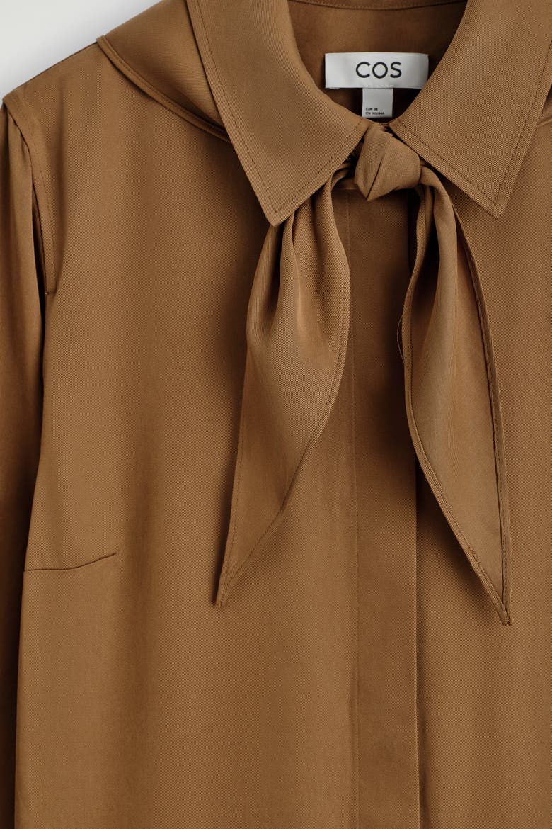 Scarf-Detail Dropped-Waist Mini Dress, Alternate, color, BROWN
