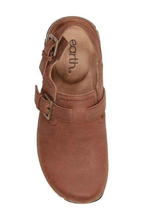 Earth Women's Elmonte Slingback Clogs In Brown