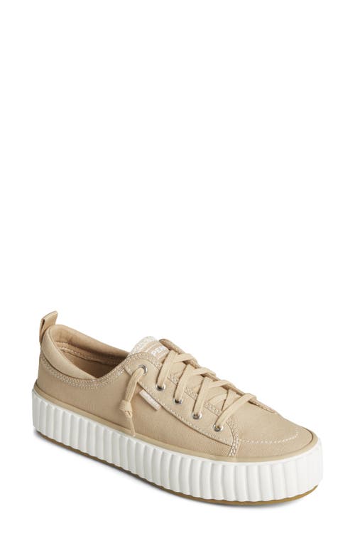 SPERRY TOP-SIDER® Pier Wave Platform Sneaker in Beige 