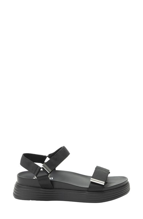 Alegria By Pg Lite Allyson Platform Sandal In Black