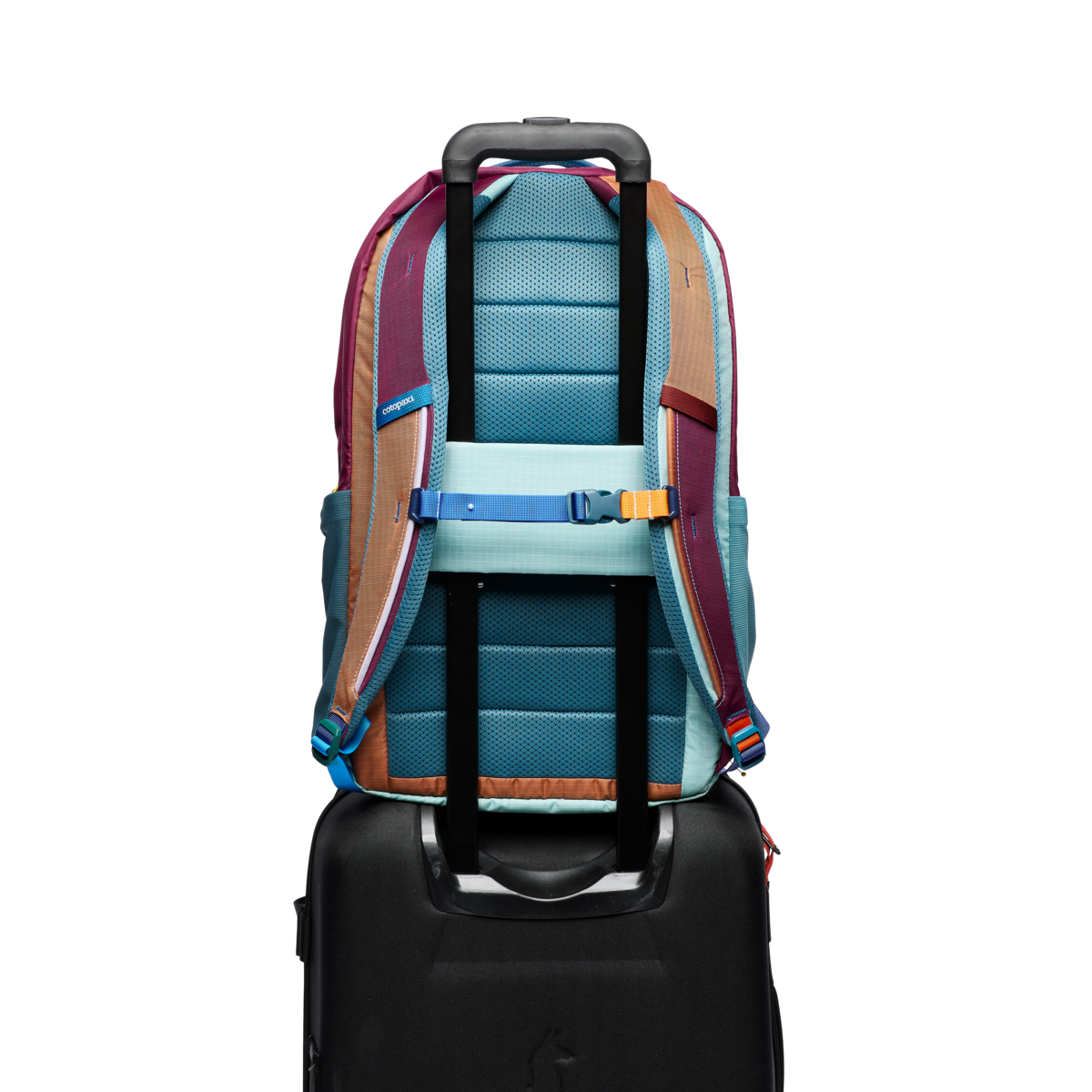 Cotopaxi Allpa 26L Daypack - Del Día, Alternate, color, Del Día