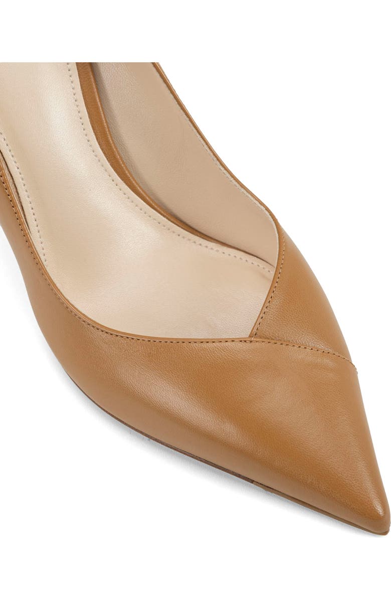 Alexandre Birman Pamela Pointed Toe Pump, Alternate, color,