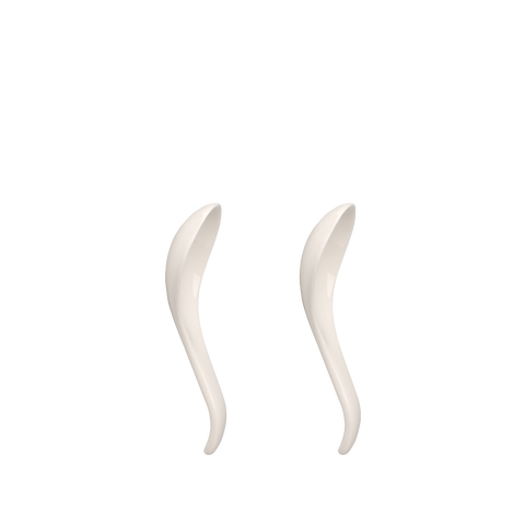 Soup Passion Asia Spoon Pair