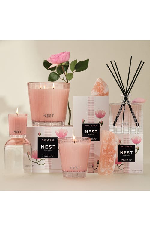 NEST NEW YORK NEST NEW YORK HIMALAYAN SALT & ROSEWATER REED DIFFUSER