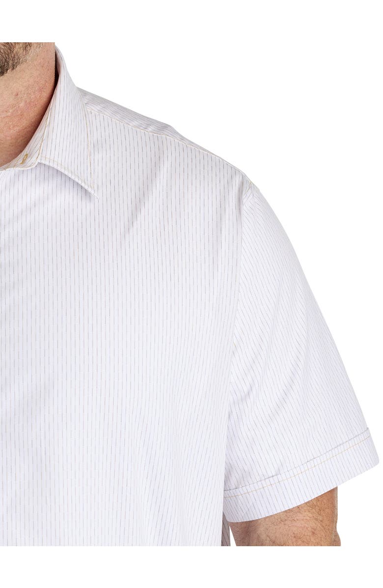 Synrgy by DXL Big & Tall Dotted Striped Sport Shirt, Alternate, color, White