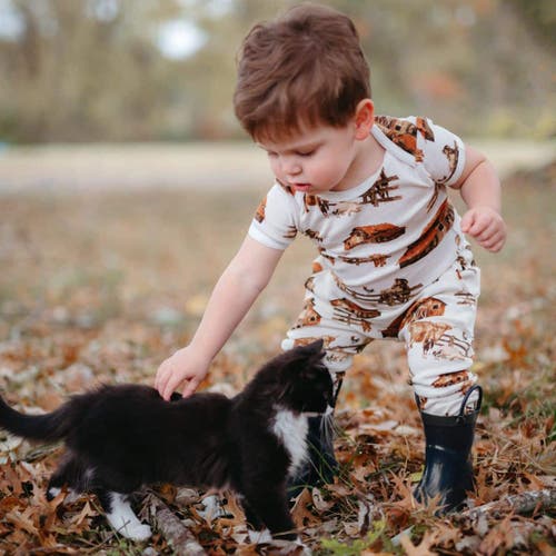Milkbarn Organic Cotton Jogger In Brown