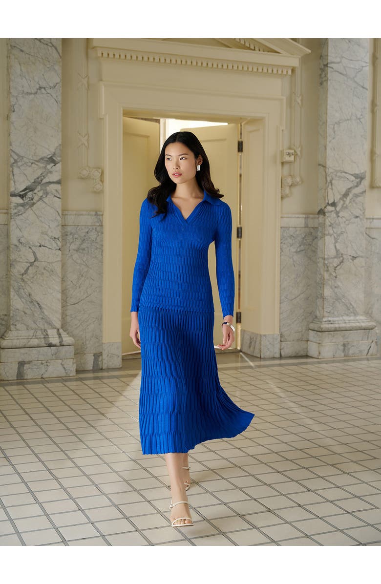 Misook Raised Geometric Soft Knit Maxi Skirt, Alternate, color, Aegean Blue