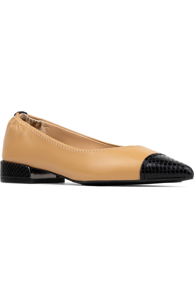 Donald Pliner Ladonna Pointed Toe Pump, Main, color, Black/ Camel