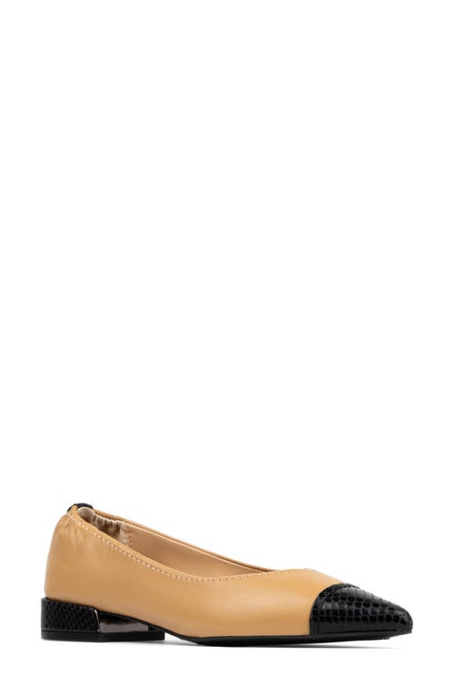 Donald Pliner Ladonna Pointed Toe Pump