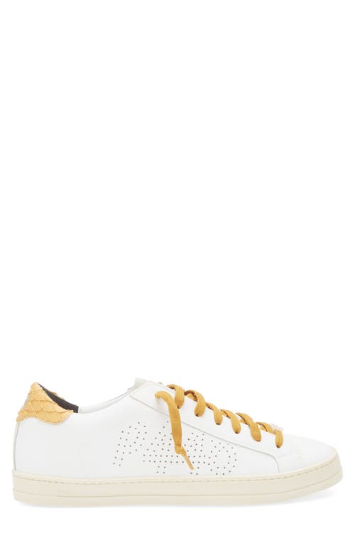 P448 John Sneaker In White