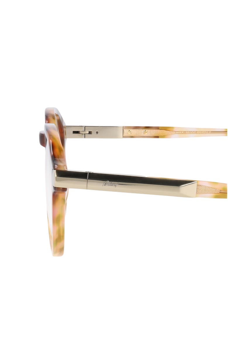 Brioni Novelty 51mm Round Sunglasses, Alternate, color, Havana Havana Transparent
