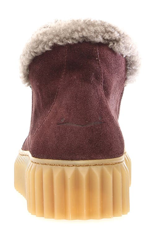 Voile Blanche Luna Genuine Shearling Lined Bootie In Burgundy