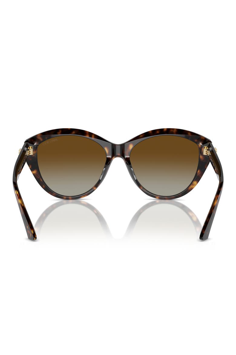 55mm Polarized Gradient Phantos Sunglasses, Alternate, color, HAVANA / POLAR GRADIENT BROWN
