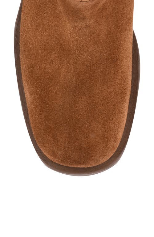 Seychelles Cozy Block Heel Bootie In Brown