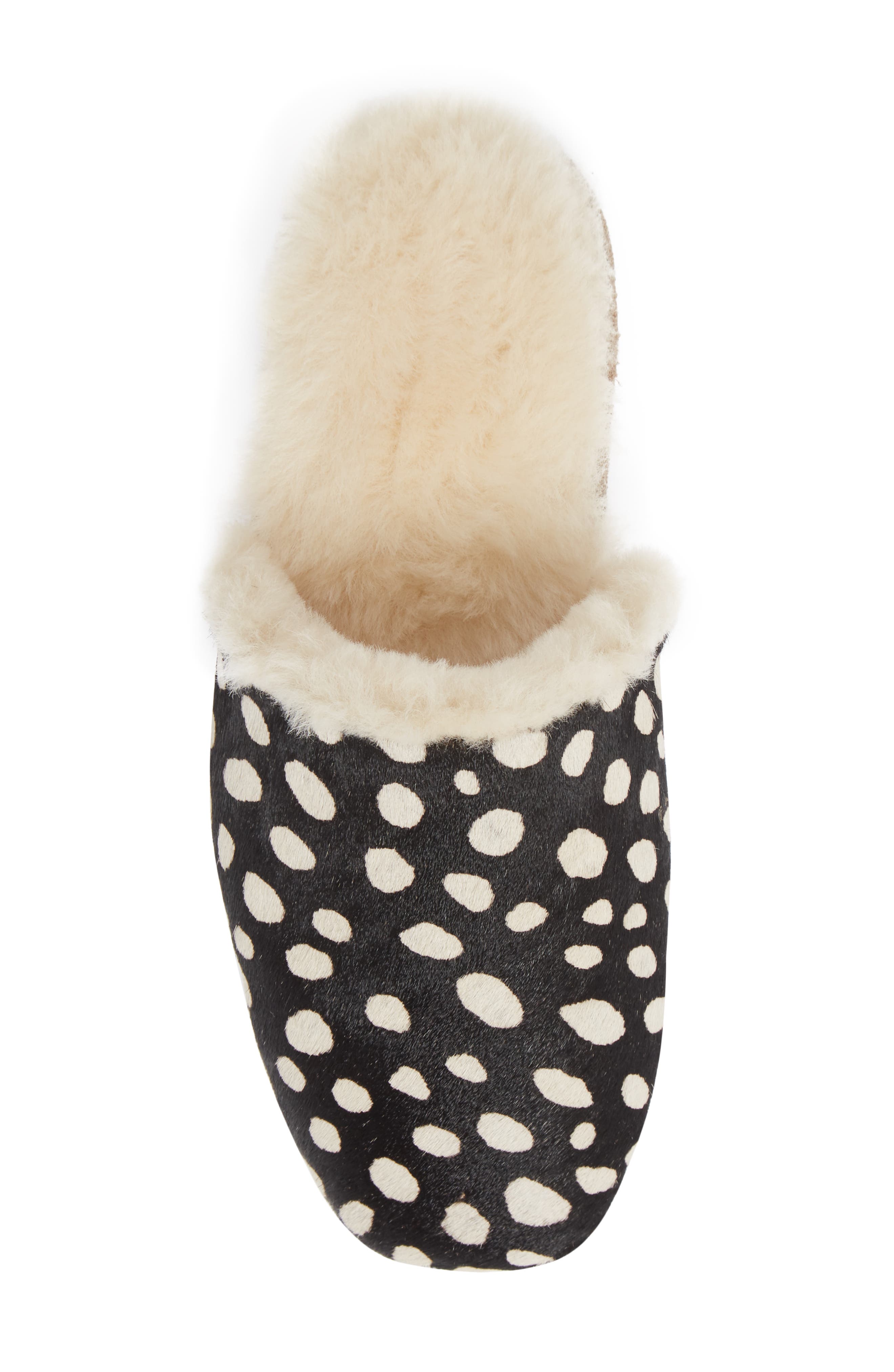 Freda Salvador James Genuine Calf Hair & Genuine Shearling Slipper, Alternate, color, 