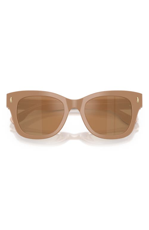 Tory Burch 51mm Square Sunglasses In Brown