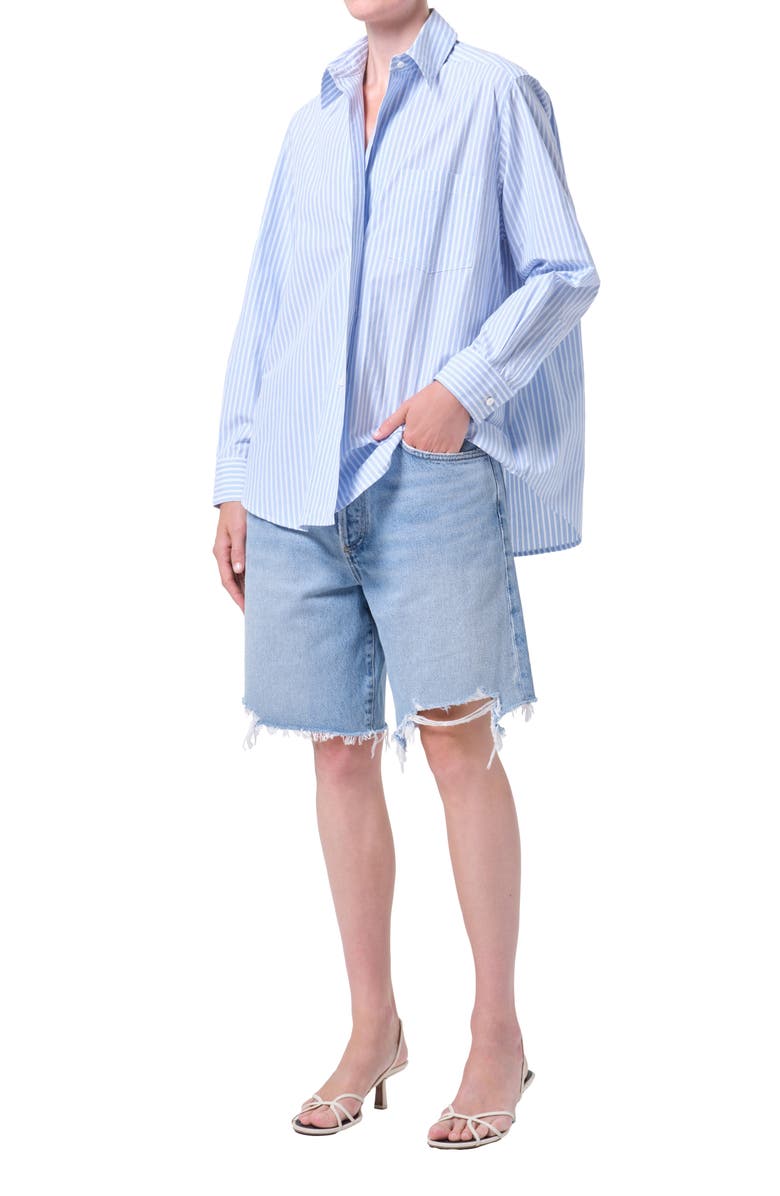 AGOLDE Aris Stripe Button-Up Shirt, Alternate, color, Banks Stripe Blue