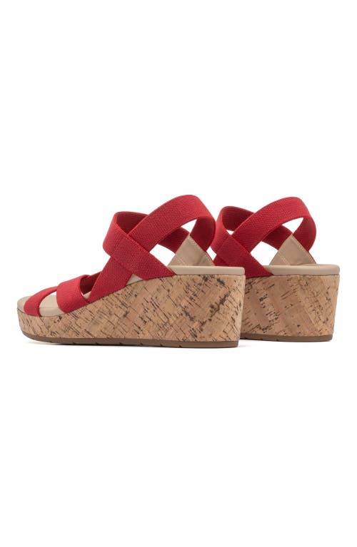 Abeo Riviera Stretch In Red - Regular