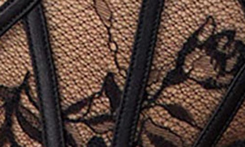 Etam Mascarade Culotte Tulle & Lace Panties In Black