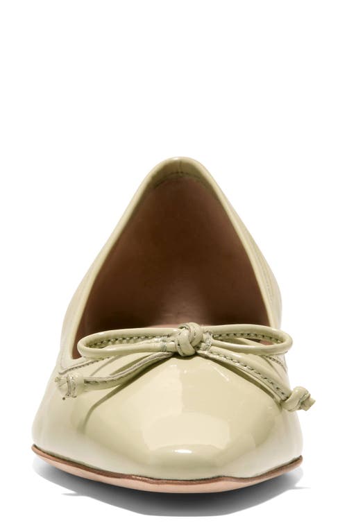 COLE HAAN COLE HAAN CHLEA POINTED TOE BALLET FLAT 