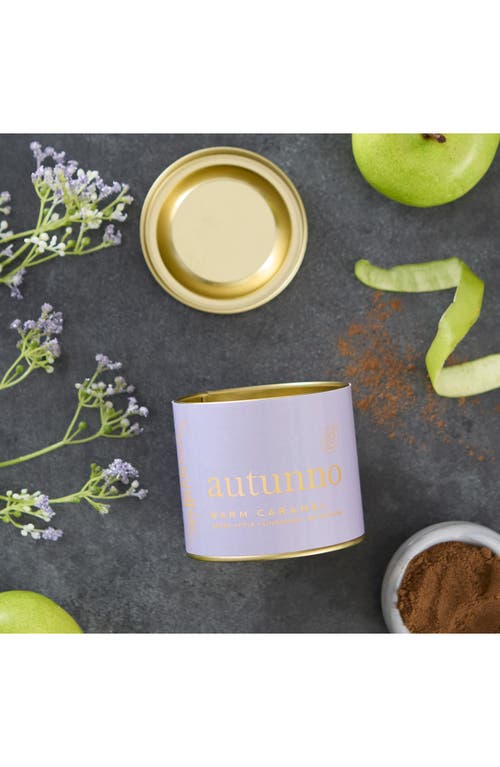 Via Mercato Autunno Warm Caramel Candle In Purple