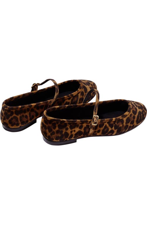 Margaux The Demi Jane Flat In Animal Print