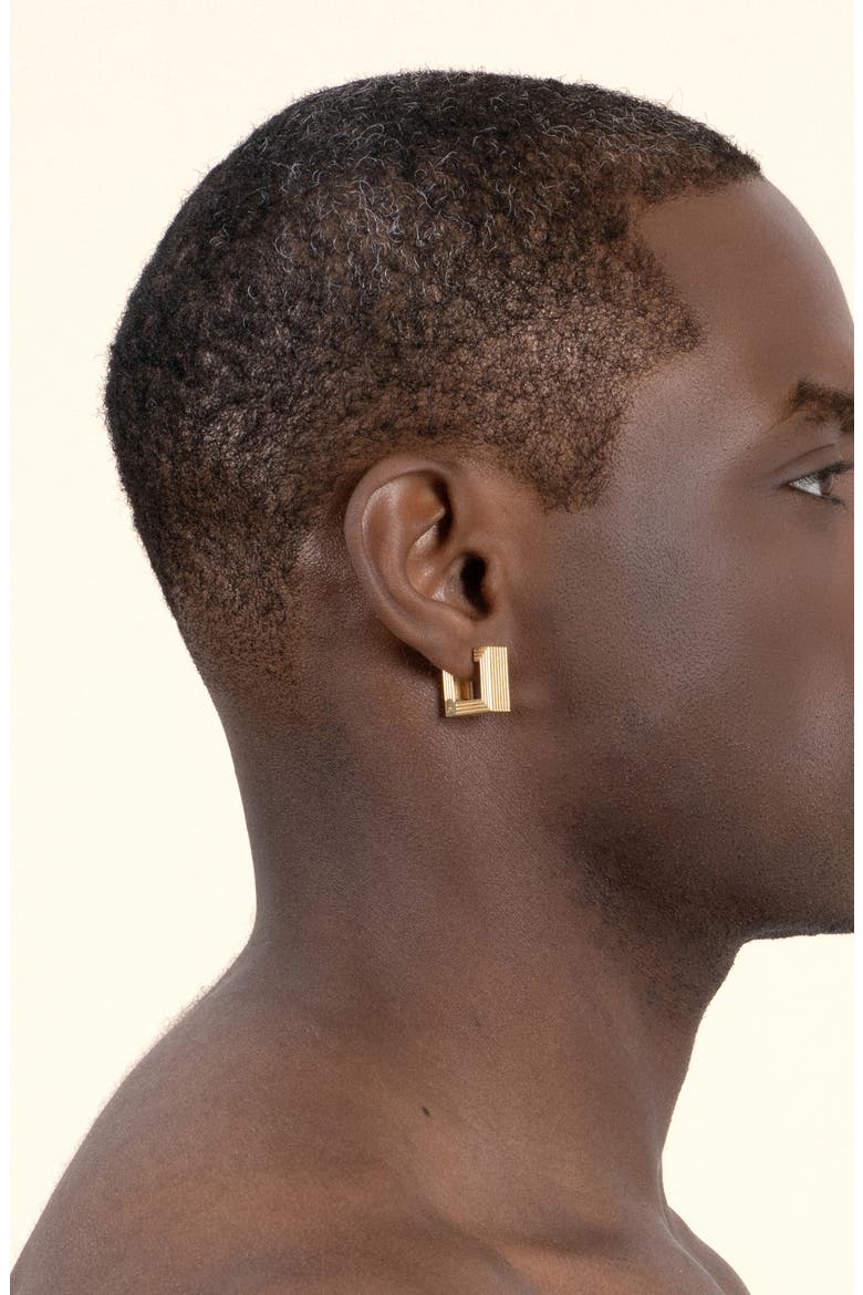 Small Aurelia Hoop Earrings, Alternate, color, YELLOW GOLD