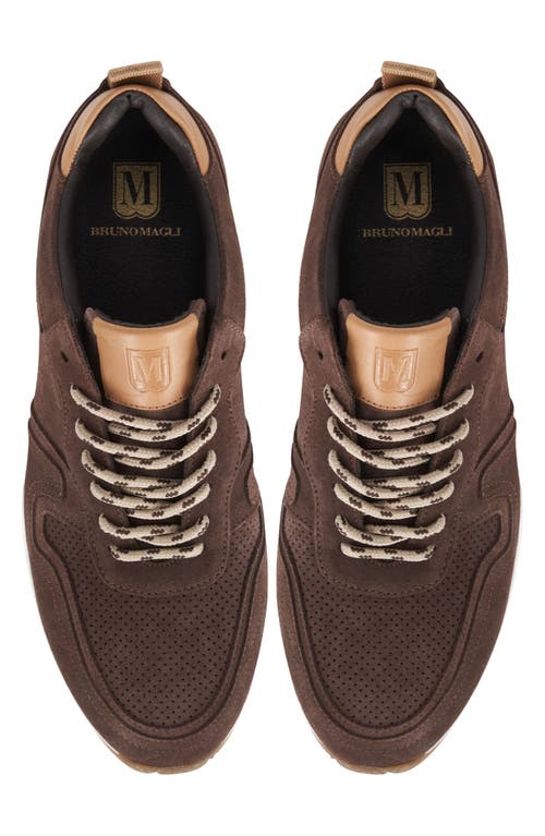 Bruno Magli Capri Sneaker In Brown Suede