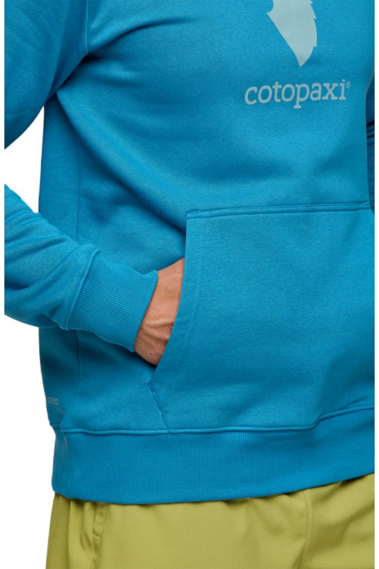 Llama Pullover Hoodie - Men's, Alternate, color, Lake